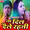 About Na Dil Dele Rahti Song